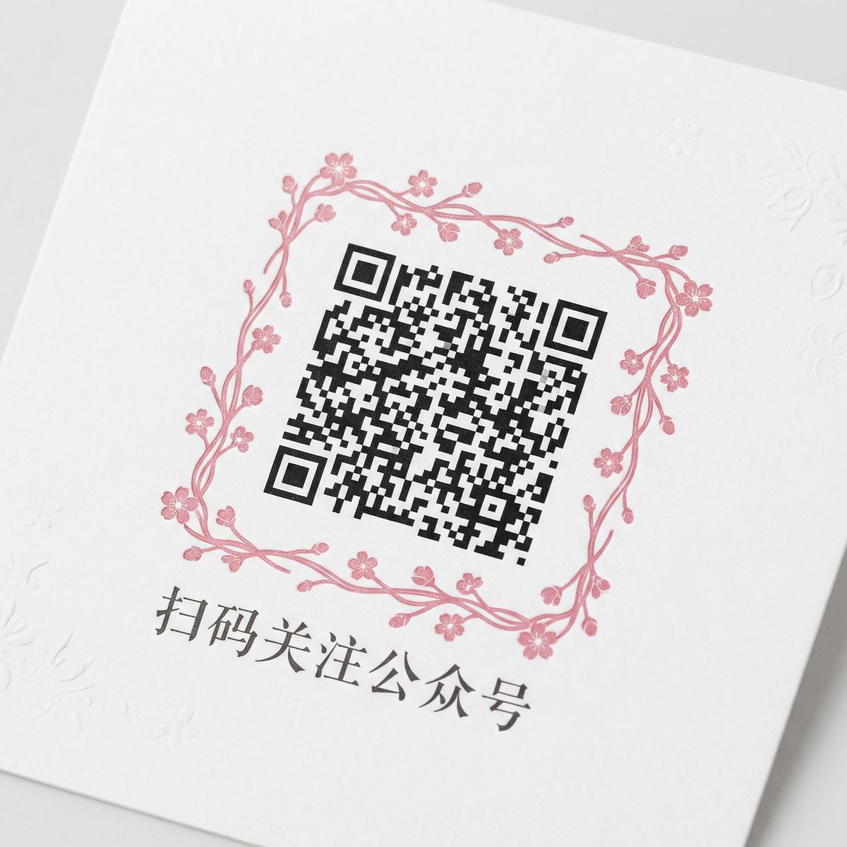 女神视频公众号